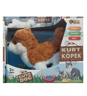Can Oyuncak Kutulu Sesli Köpek CAN-5115