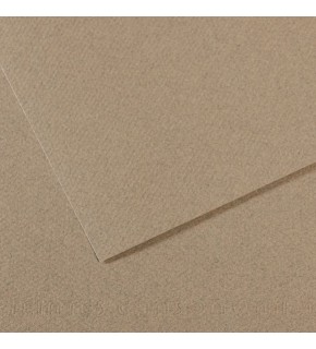 Canson Fon Karton (Dokulu) Mı-Teıntes Sh Canmt 50x65 160 GR Grey 429 (1 Adet)