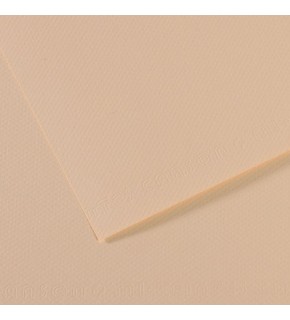 Canson Fon Kartonu (Dokulu) Mı-Teıntes 50x65 160 gr 112 Ylw 31032S093 (1 Adet)