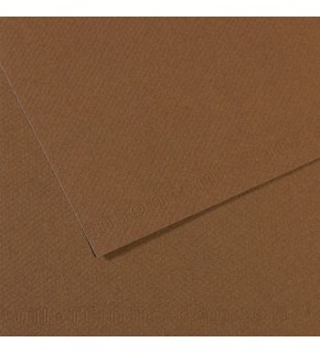 Canson Fon Kartonu (Dokulu) Mı-Teıntes 50x65 160 GR 133 Sepia 200321404 (1 Adet)