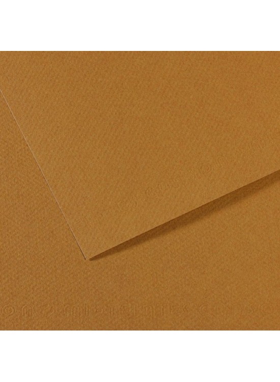 Canson Fon Kartonu (Dokulu) Mı-Teıntes 50x65 160 gr 336 Cachou 200321034 (1 Adet)