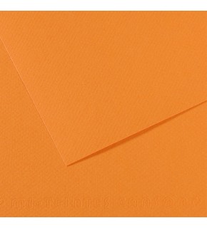 Canson Fon Kartonu (Dokulu) Mı-Teıntes 50x65 160 gr 384 Saumon 200321104 (1 Adet)