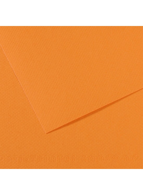 Canson Fon Kartonu (Dokulu) Mı-Teıntes 50x65 160 gr 384 Saumon 200321104 (1 Adet)