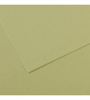 Canson Fon Kartonu (Dokulu) Mı-Teıntes 25 Lİ 50x65 160 GR 480 Almond Green 200321164 (1 Adet)