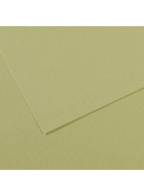 Canson Fon Kartonu (Dokulu) Mı-Teıntes 25 Lİ 50x65 160 GR 480 Almond Green 200321164 (1 Adet)