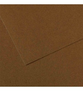 Canson Fon Kartonu (Dokulu) Mı-Teıntes 50x65 160 gr 501 Dark Brown 200331484 (1 Adet)
