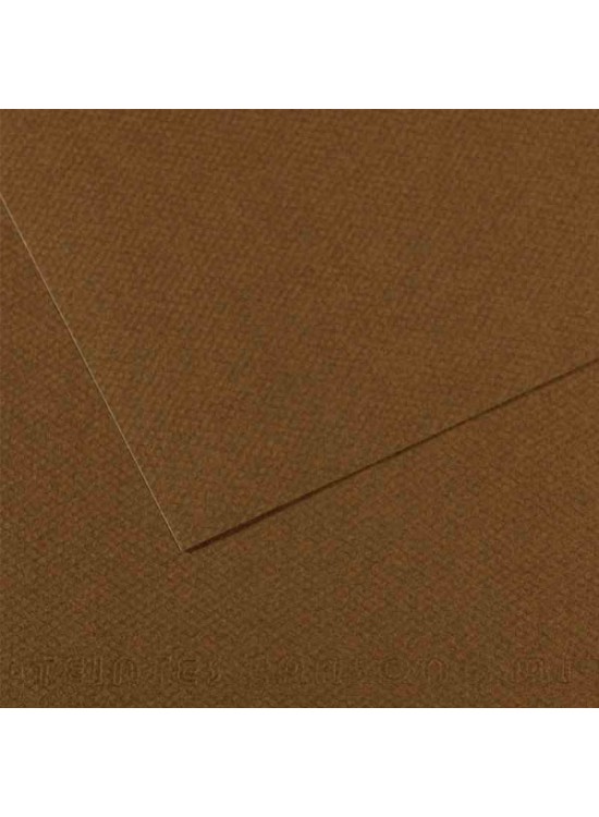 Canson Fon Kartonu (Dokulu) Mı-Teıntes 50x65 160 gr 501 Dark Brown 200331484 (1 Adet)