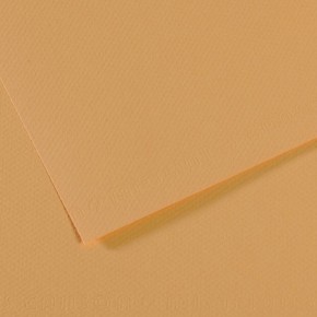 Canson Fon Kartonu (Dokulu) Mı-Teıntes 50x65 160 gr Kahverenk 340 (1 Adet)