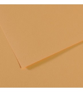 Canson Fon Kartonu (Dokulu) Mı-Teıntes 50x65 160 gr Kahverenk 340 (1 Adet)