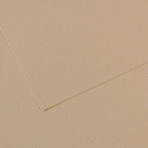 Canson Fon Kartonu (Dokulu) Mı-Teıntes 50x65 160 gr GREY 343 (1 Adet)