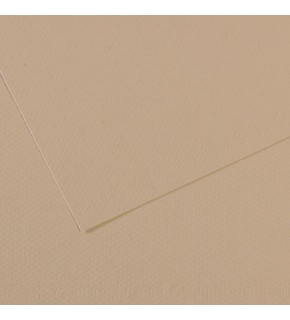 Canson Fon Kartonu (Dokulu) Mı-Teıntes 50x65 160 gr GREY 343 (1 Adet)