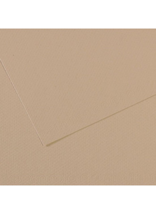 Canson Fon Kartonu (Dokulu) Mı-Teıntes 50x65 160 gr GREY 343 (1 Adet)