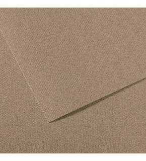 Canson Fon Kartonu (Dokulu) Mı-Teıntes 50x65 160 gr Grey 431 (1 Adet)