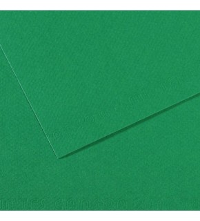 Canson Fon Kartonu (Dokulu) Mı-Teıntes 50x65 160 gr Ylw 400 (1 Adet)