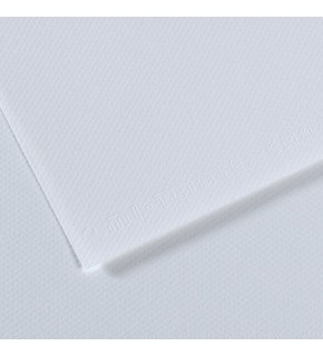 Canson Fon Kartonu (Dokulu) Mı-Teıntes Sh Canmt 50x65 160 gr Blu 181 (1 Adet)