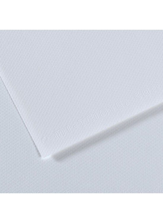 Canson Fon Kartonu (Dokulu) Mı-Teıntes Sh Canmt 50x65 160 gr Blu 181 (1 Adet)