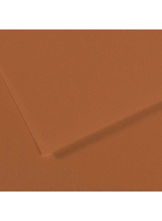 Canson Fon Kartonu (Dokulu) Mı-Teıntes Sh Canmt 50x65 160 gr Brown 187 (1 Adet)