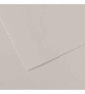 Canson Fon Kartonu (Dokulu) Mı-Teıntes Sh Canmt 50x65 160 GR Grey 120 (1 Adet)