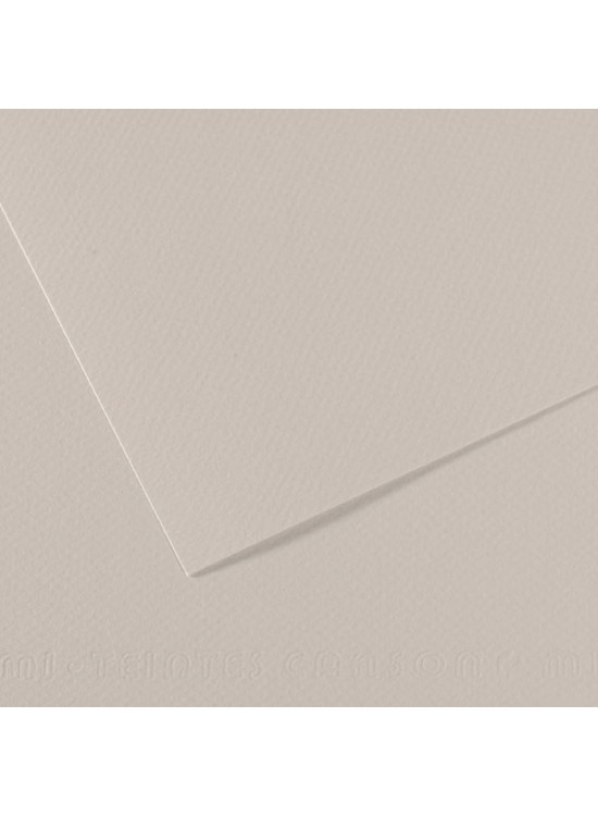 Canson Fon Kartonu (Dokulu) Mı-Teıntes Sh Canmt 50x65 160 GR Grey 120 (1 Adet)