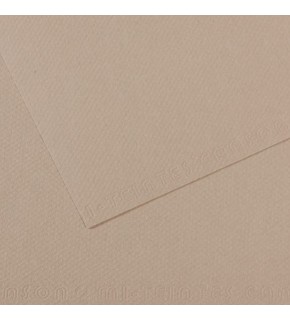 Canson Fon Kartonu (Dokulu) Mı-Teıntes Sh Canmt 50x65 160 gr Grey 122 (1 Adet)