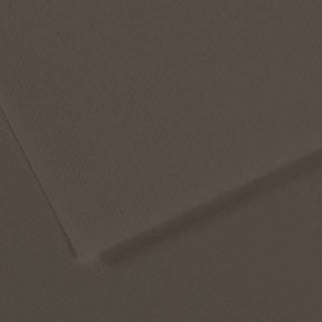 Canson Fon Kartonu (Dokulu) Mı-Teıntes Sh Canmt 50x65 160 gr Grey 184 (1 Adet)