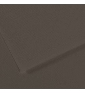 Canson Fon Kartonu (Dokulu) Mı-Teıntes Sh Canmt 50x65 160 gr Grey 184 (1 Adet)