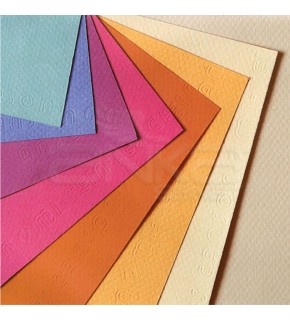 Canson Fon Kartonu (Dokulu) Mı-Teıntes Sh Canmt 50x65 160 gr Grey 185 (1 Adet)