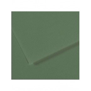 Canson Fon Kartonu (Dokulu) Mı-Teıntes Sh Canmt 50x65 160 gr Grn 190 (1 Adet)