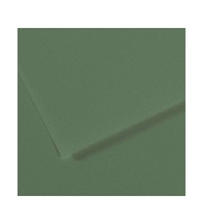 Canson Fon Kartonu (Dokulu) Mı-Teıntes Sh Canmt 50x65 160 gr Grn 190 (1 Adet)