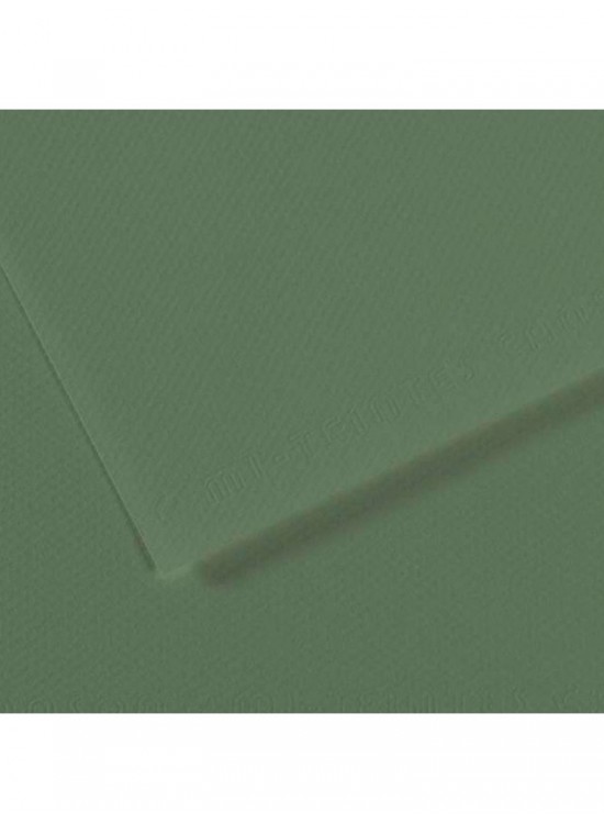 Canson Fon Kartonu (Dokulu) Mı-Teıntes Sh Canmt 50x65 160 gr Grn 190 (1 Adet)