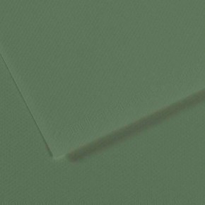 Canson Fon Kartonu (Dokulu) Mı-Teıntes Sh Canmt 50x65 160 gr Grn 190 (1 Adet)