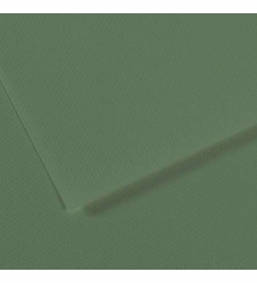 Canson Fon Kartonu (Dokulu) Mı-Teıntes Sh Canmt 50x65 160 gr Grn 190 (1 Adet)