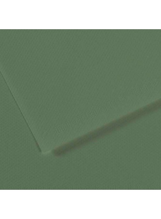 Canson Fon Kartonu (Dokulu) Mı-Teıntes Sh Canmt 50x65 160 gr Grn 190 (1 Adet)