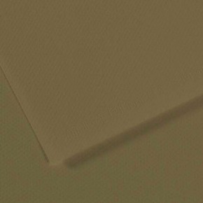 Canson Fon Kartonu (Dokulu) Mı-Teıntes Sh Canmt 50x65 160 gr Grn 191 (1 Adet)