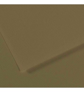 Canson Fon Kartonu (Dokulu) Mı-Teıntes Sh Canmt 50x65 160 gr Grn 191 (1 Adet)