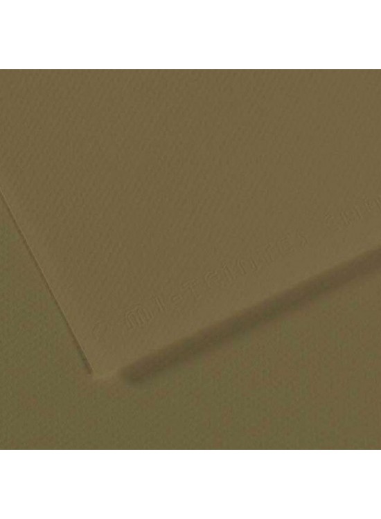 Canson Fon Kartonu (Dokulu) Mı-Teıntes Sh Canmt 50x65 160 gr Grn 191 (1 Adet)