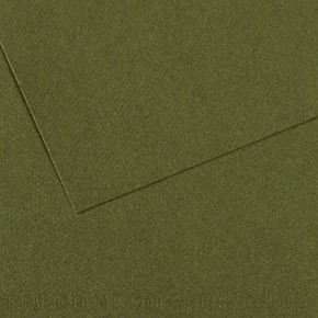 Canson Fon Kartonu (Dokulu) Mı-Teıntes Sh Canmt 50x65 160 GR Grn 448 (1 Adet)