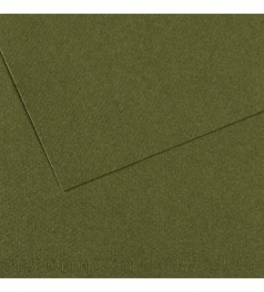 Canson Fon Kartonu (Dokulu) Mı-Teıntes Sh Canmt 50x65 160 GR Grn 448 (1 Adet)