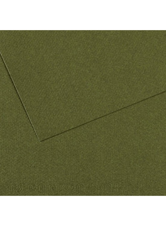 Canson Fon Kartonu (Dokulu) Mı-Teıntes Sh Canmt 50x65 160 GR Grn 448 (1 Adet)