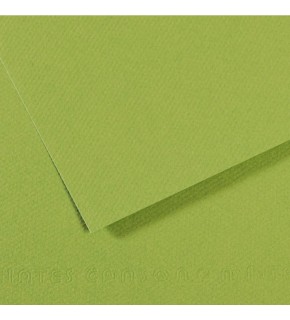 Canson Fon Kartonu (Dokulu) Mı-Teıntes Sh Canmt 50x65 160 GR Grn 475 (1 Adet)