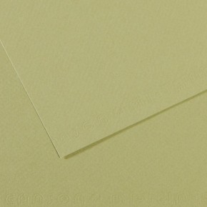 Canson Fon Kartonu (Dokulu) Mı-Teıntes Sh Canmt 50x65 160 GR Grn 480 (1 Adet)