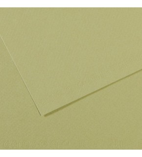 Canson Fon Kartonu (Dokulu) Mı-Teıntes Sh Canmt 50x65 160 GR Grn 480 (1 Adet)