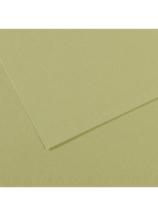 Canson Fon Kartonu (Dokulu) Mı-Teıntes Sh Canmt 50x65 160 GR Grn 480 (1 Adet)