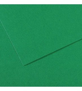 Canson Fon Kartonu (Dokulu) Mı-Teıntes Sh Canmt 50x65 160 gr Grn 575 31032S114 (1 Adet)