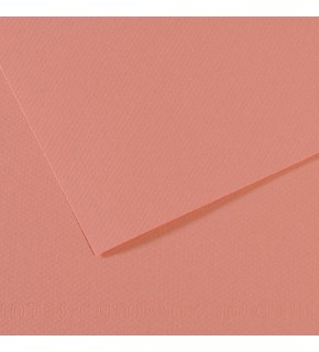 Canson Fon Kartonu (Dokulu) Mı-Teıntes Sh Canmt 50x65 160 GR Pınk 352 (1 Adet)