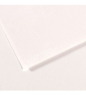 Canson Fon Kartonu (Dokulu) Mı-Teıntes Sh Canmt 50x65 160 gr Whıt 180 (1 Adet)