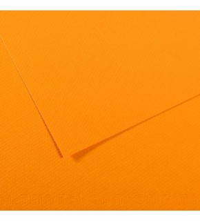 Canson Fon Kartonu (Dokulu) Mı-Teıntes Sh Canmt 50x65 160 GR Ylw 553 31032S113 (1 Adet)