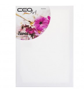 Ceo Art Çerçeveli Tuval 35x50 Düz