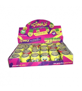 Çim Adam Kutulu Çimoji (1 Adet)