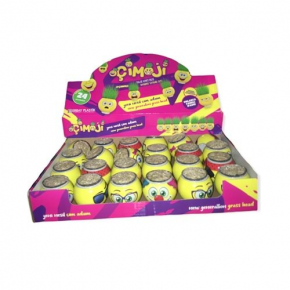 Çim Adam Kutulu Çimoji (1 Adet)